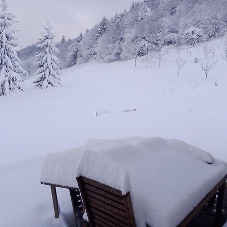 Apartmaji Borstner Vransko エクステリア 写真