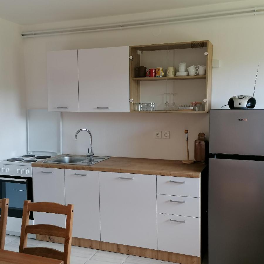 Apartmaji Borstner Vransko エクステリア 写真