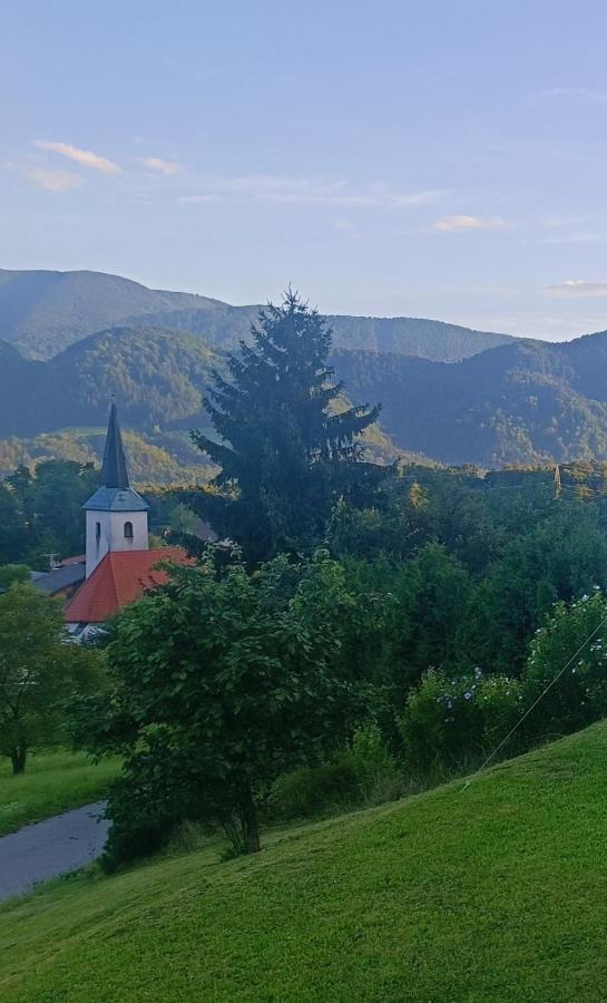 Apartmaji Borstner Vransko エクステリア 写真