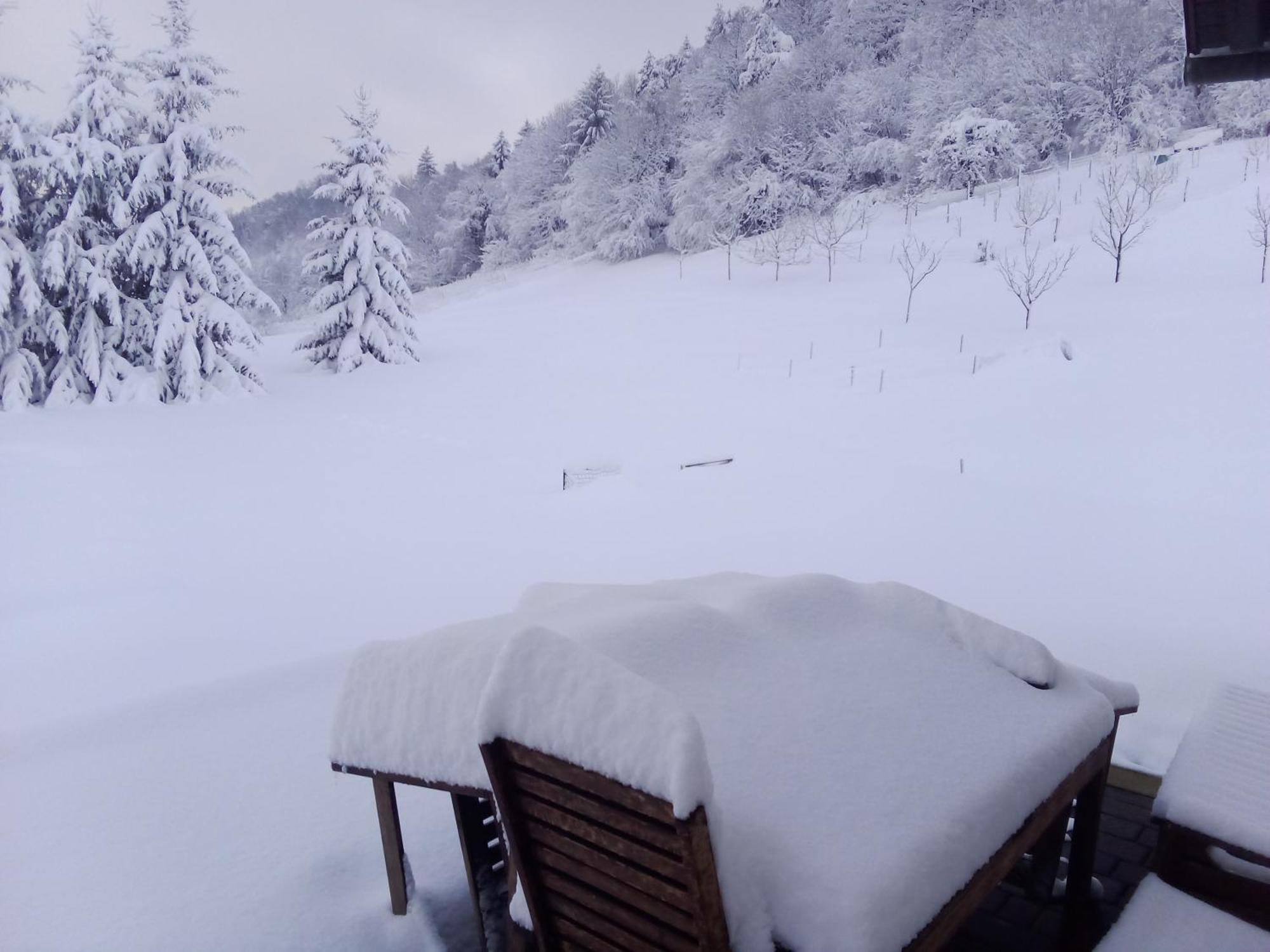 Apartmaji Borstner Vransko エクステリア 写真