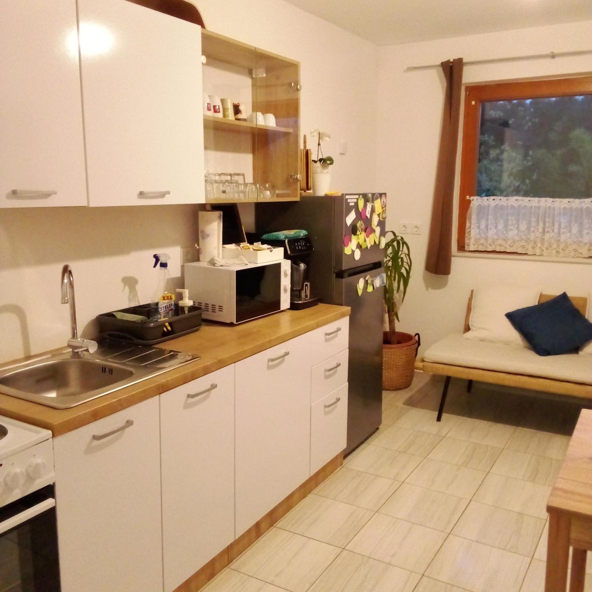 Apartmaji Borstner Vransko エクステリア 写真
